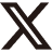 X Icon
